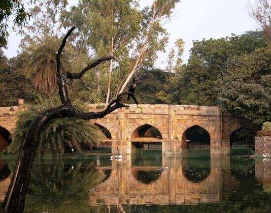 5 Delhi gardens that offer a green respite