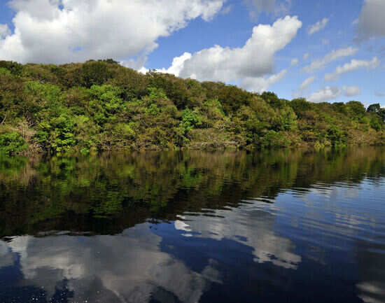 The top 10 rainforests and jungles in the world