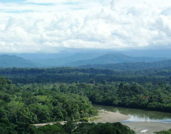 Ecuador's Cloud Forests