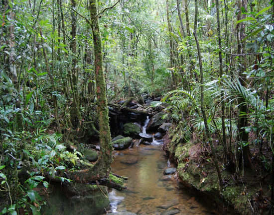 Kinabalu National Park