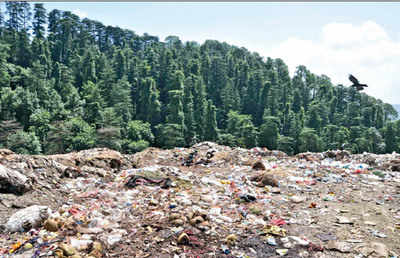 Plastic waste may trigger water bombs in Himalayas