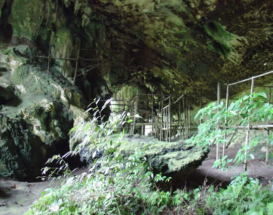 Niah Caves