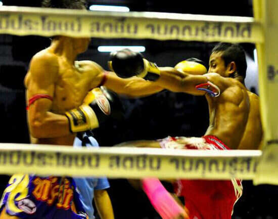 See a Muay Thai boxing match