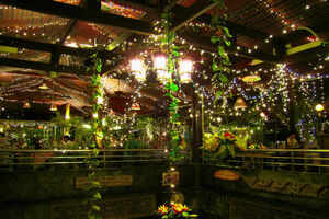Top cafes in Bangkok