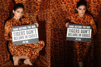 Priyamani turns tigeress for PETA