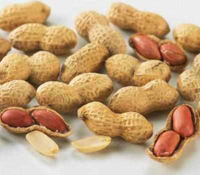 Dry-roasted peanuts more likely trigger for allergy