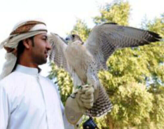 Abu Dhabi Falcon Hospital