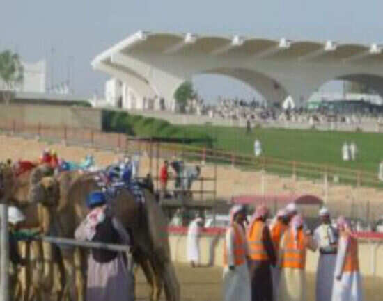 Al Wathba Racetrack