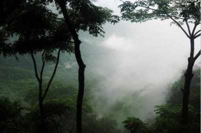 Protecting Western Ghats: Environment ministry gets nod for final draft