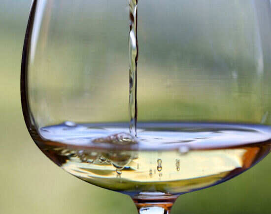 Wine tasting in Lodi