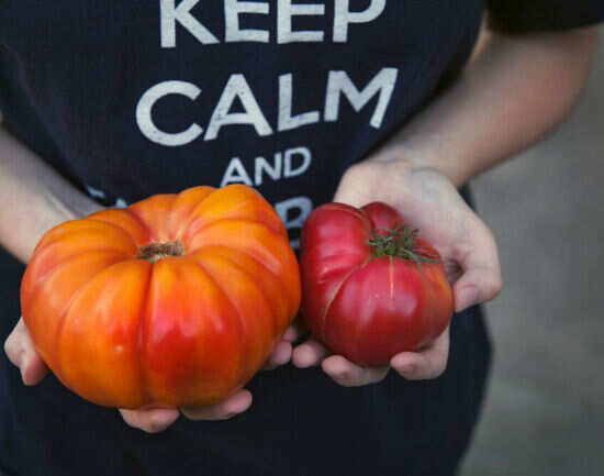Going farm-to-fork in Sacramento