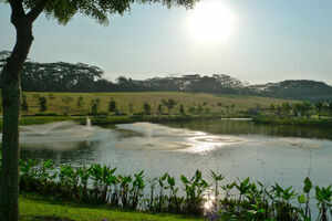 Singapore&rsquo;s green zones
