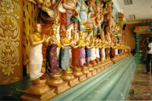 Customs and culture
