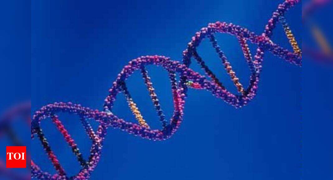 80% of what determines height lies in our genetic code - Times of India