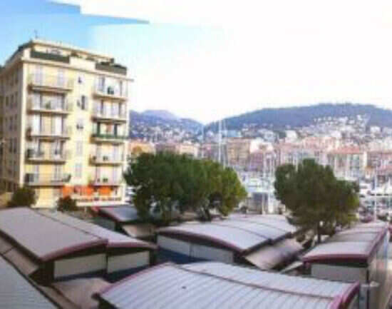 Les Puces de Nice