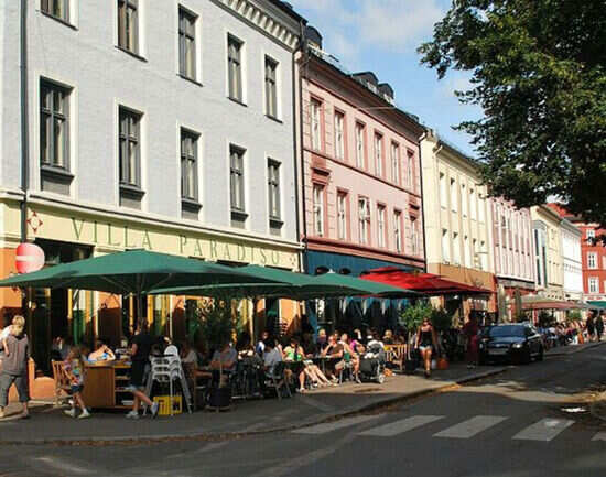 Gr&uuml;nerl&oslash;kka