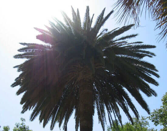 Jardin Vigier