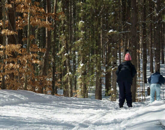 Cross-country skiing