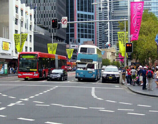 Bus