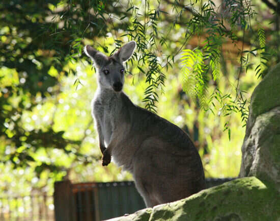 Know before you go