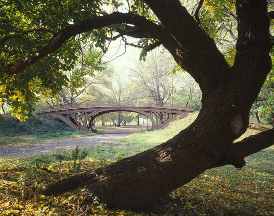 Central Park