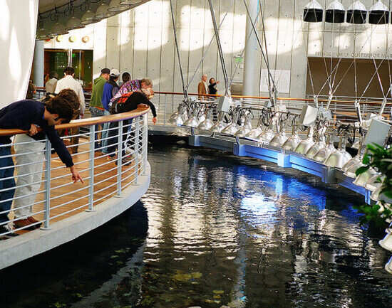 California Academy of Sciences