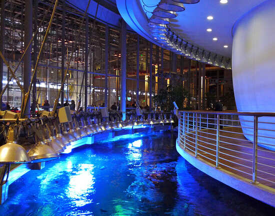 NightLife at the California Academy of Sciences
