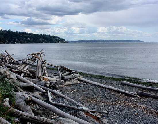 Discovery Park