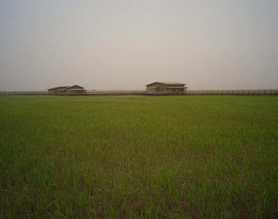 Chongming Island