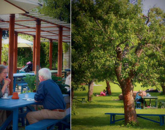 Rosendal's Garden and Caf&eacute;