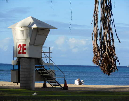 Get clued-up about water safety