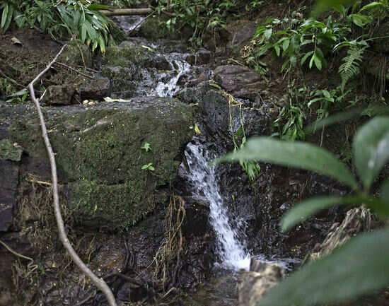Ahupua'a O Kahana State Park