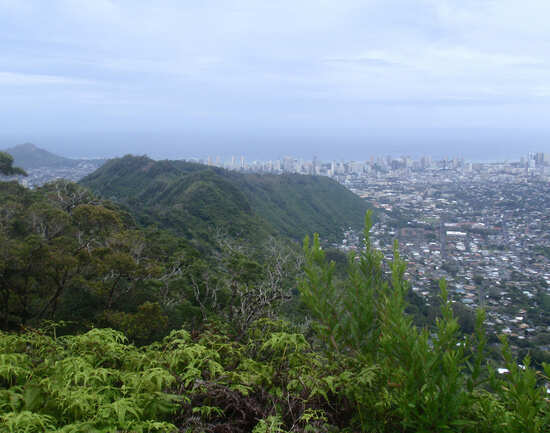 Wa'ahila Ridge State Recreation Area