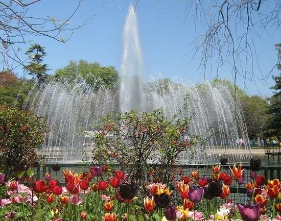 Yildiz Park
