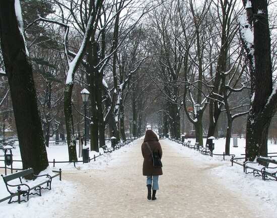 Planty Park