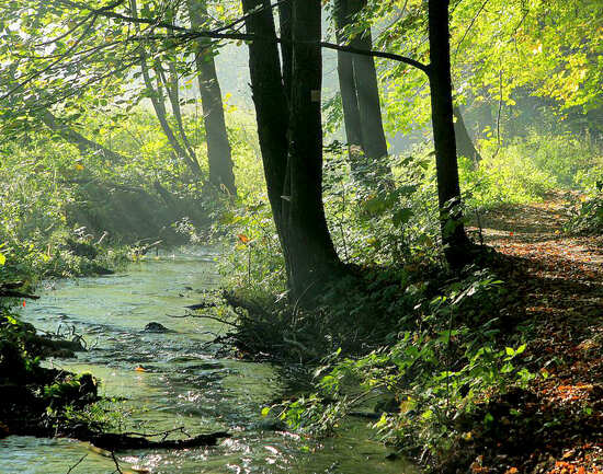 Ojc&oacute;w National Park