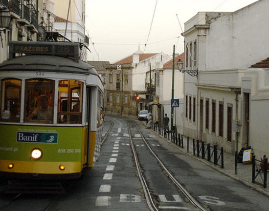 Buses and Trams