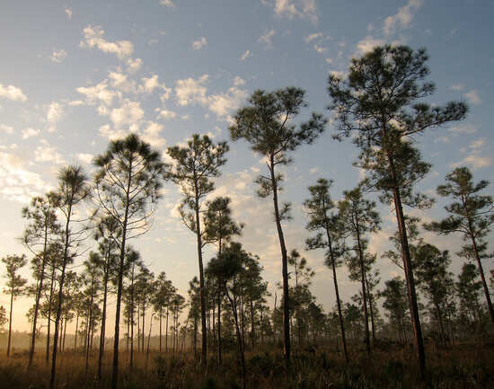Everglades National Park