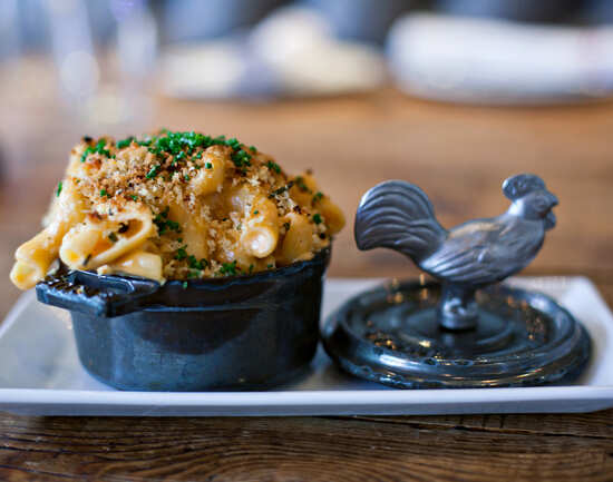 Yardbird