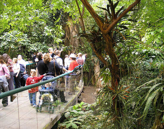 The Biodome