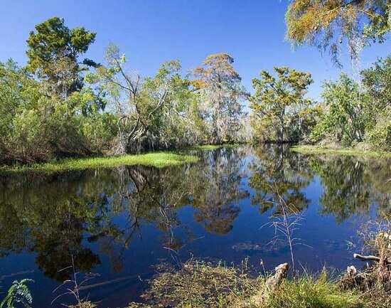 Jean Lafitte National Historical Park and Preserve