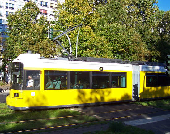Trams