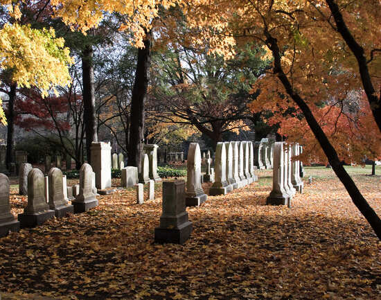 Mount Auburn Cemetery