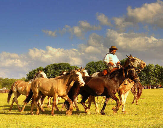 Visit an estancia