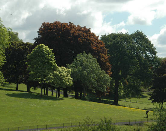 Phoenix Park