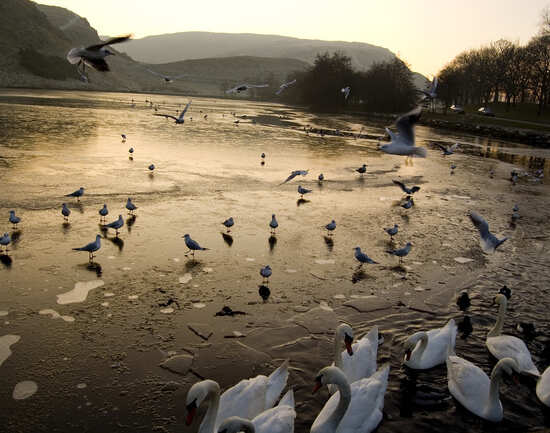 Holyrood Park
