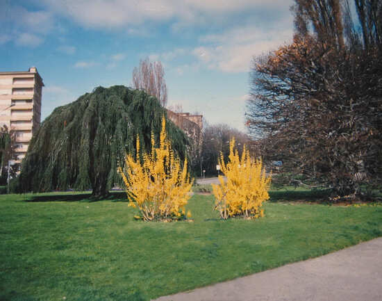 Mon Repos Park