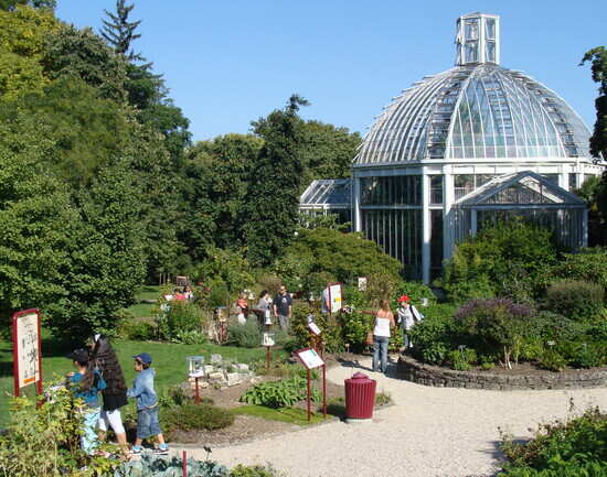 The Botanical Gardens