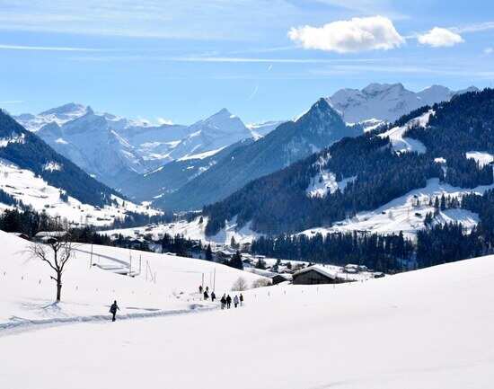 Ski day trip to the Alps