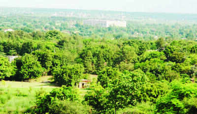 NCR eco zones shrinking: Survey